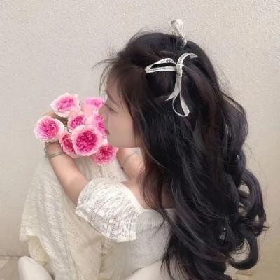 莫丽的朝圣